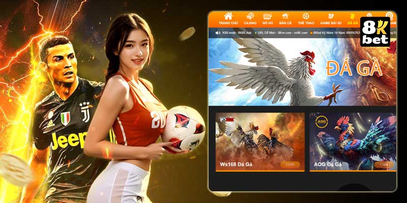 Hướng dẫn cho newbie nhập môn 8Kbet về quản lý tài chính